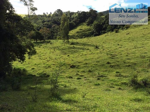 Imagem 5 de 12 de Sítios À Venda Em Munhoz/mg - Compre O Seu Sítios Aqui! - 1397458