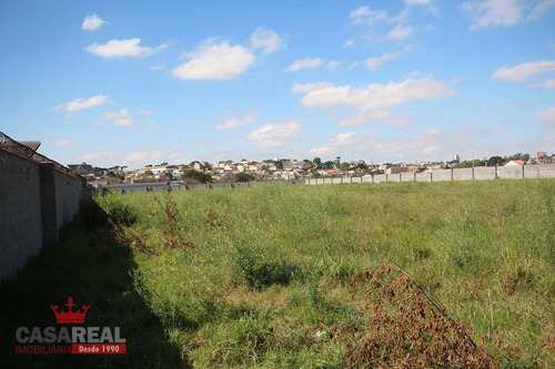 Imagem 8 de 22 de Terreno Industrial À Venda, Novo Mundo, Curitiba - Te0029. - Te0029