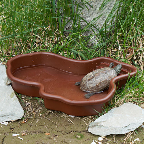 Cuenco Para Remojo De Reptiles, Plato De Agua Sin Manguera