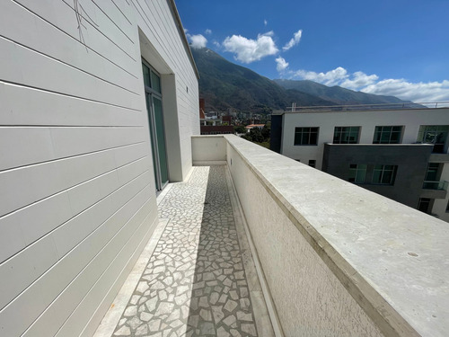 Imagen 12 de 23 de Vendo Apartamento 330m2 4h/5b/4p La Castellana