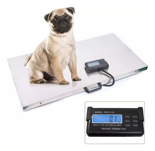 Bascula Perros Gatos Veterinaria Grande Larga 0.5 A 200kg Color Gris