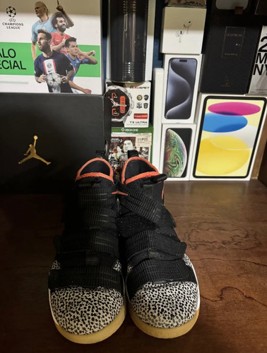 Nike Lebron Zoom Soldier 11 (Usado)