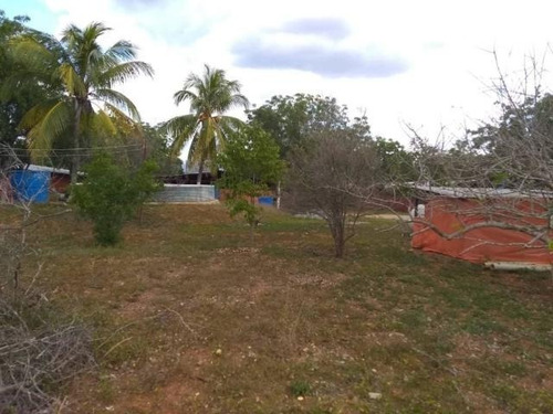Imagen 12 de 30 de Jose Lopez Ofrece Finca ( Granja Avícola / Agrícola ) En Venta Vía A Duaca Caserio Guayabal Cordero Lara, Venezuela ,j G L Rent - A - House Telf. 0414-5533925 Cod # 22-16836 $ 15000