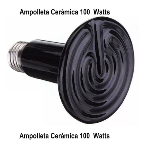 3 Ampolletas Calefactoras Ceramica 100w Pollitos Envio Grati