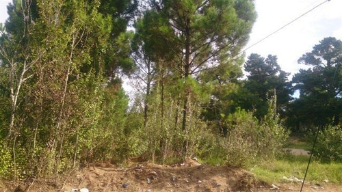 Terreno En Venta En Ostende
