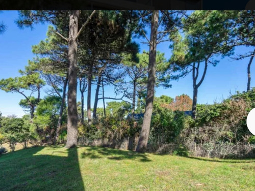 Imagen 12 de 23 de Dueño. Alquiler Casa En Pinamar Norte, Vista Al Mar