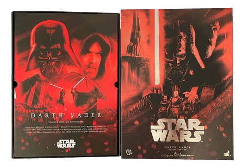 Battle Damaged Darth Vader Hot Toys Dx28 Deluxe 1/6 Scale (Usado)