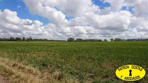 Imagen 6 de 9 de 2226-mb- 55 Has Agricolas En Lujan