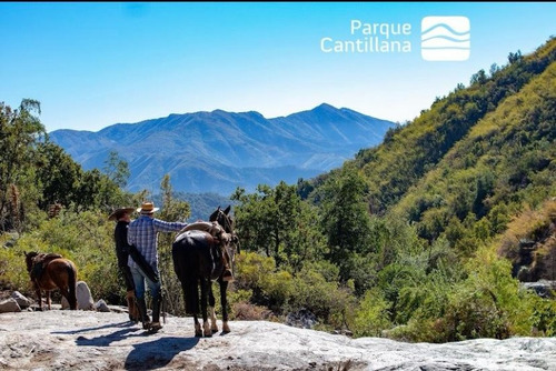 Espectaculares Parcelas En El Mejor Sector De Laguna Aculeo!