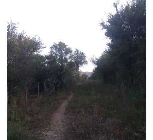 Hermoso Terreno En Río Juan Gómez