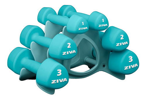 Set Kit Funcional Ziva Mancuernas Gym Ball 65 Cm Soga