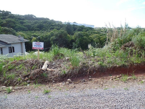 Imagem 1 de 3 de Terreno - Ipanema - Ref: 7559 - V-7559