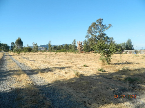 Parcela De Agrado, 5.000mt2, Rauco, Curicó