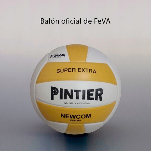 Pelota Pintier Oficial De Newcom