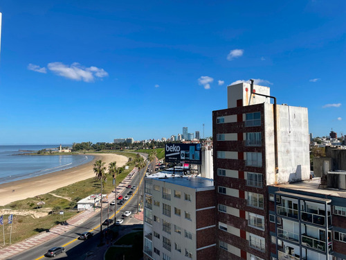 Imagen 6 de 15 de Apartamento 3 Dormitorios, 2 Baños Rambla Malvín - #907lyra