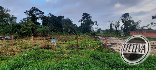 Imagem 2 de 2 de Terreno 720 M² - Piçarras - Guaratuba - 1026t
