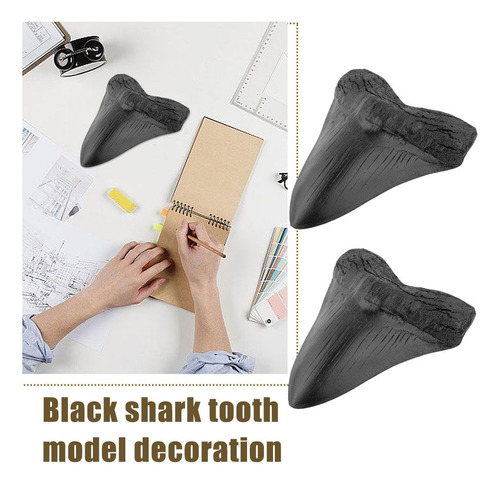 Réplica Fósil De Diente De Tiburón Megalodon, Resina Negra,