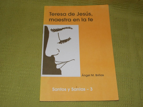 Teresa De Jesús, Maestra En La Fé - Ángel M. Briñas