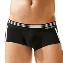 Comprar Miniboxer Sport