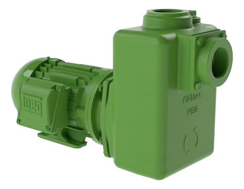 Bomba autocebante de agua turbia Fbz10 1.5cv I P 55 Weg Famac Color Negro-Verde Monofásica Fase Eléctrica Frecuencia 60Hz 110V/220V Monofásica