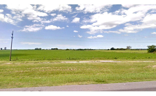 Imagen 10 de 10 de Campo En Ramallo 12 Has