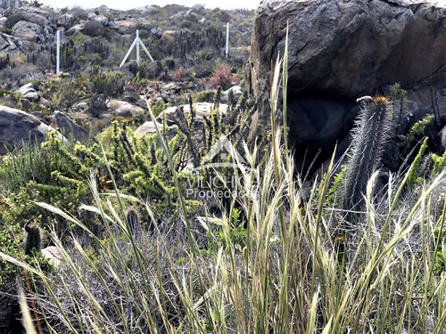 Venta Sitios Arrayan Costero, La Serena