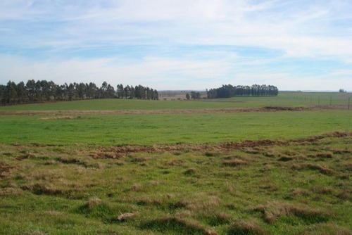 Campo En Venta En Garzón Rural