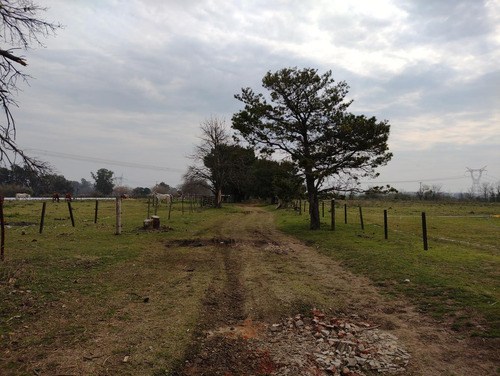 Imagen 19 de 19 de Chacra 4 Hectareas - Los Cardales - Ruta 39