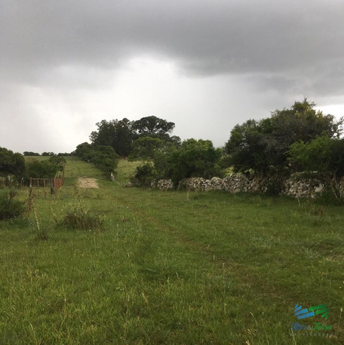 Imagen 3 de 10 de Chacra Idilica, 5 Has Con Cañada, Monte Nativo Y Vistas A Las Sierras ! - Pueblo Eden Pueblo Eden