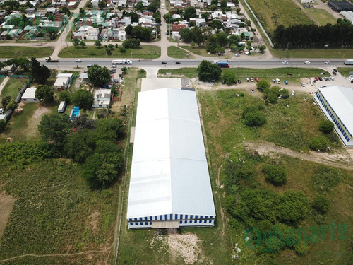 Imagen 10 de 13 de Alquiler De Depósito En Ruta 25 - Zona Comercial, Moreno.