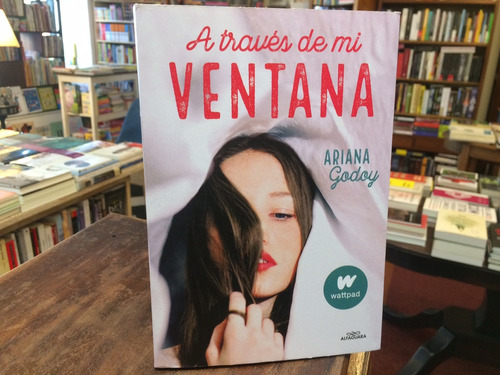 A Través De Mi Ventana - Ariana Godoy