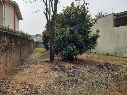 Terreno À Venda Em Jardim Proença I - Te006684