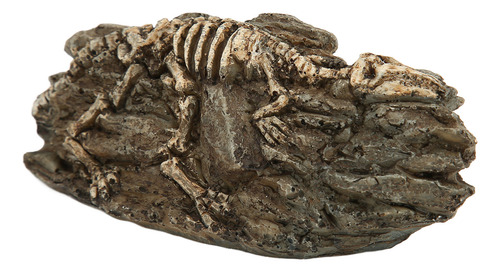 Adorno De Resina Para Acuario Con Diseño De Fósil De Dinosau