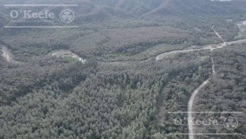 Imagen 5 de 11 de Campo - San Ramon De La Nueva Oran