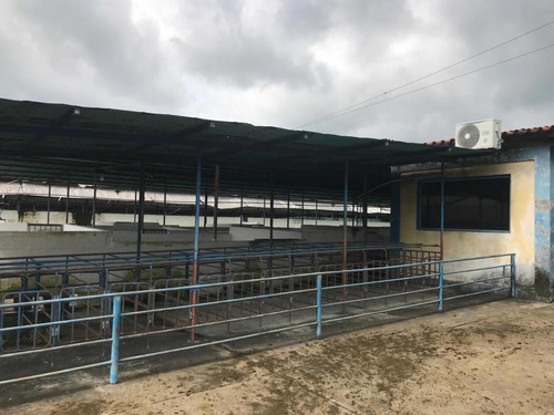 Imagen 7 de 27 de En Venta Finca De 118 Hectáreas , Y Granja Porcina , De 3.5