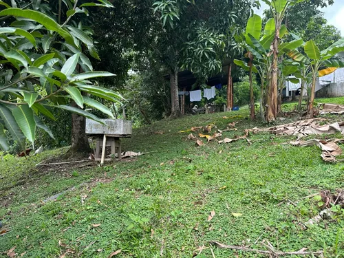 Vendo O Permuto Lote De 1300 M2 Vereda La Virginia - Mesitas Del Colegio (cundinamarca) Que Cuenta Con Escritura Pública Independiente. Libre De Demandas, Al Día De Impuestos, Entrega Inmediata.