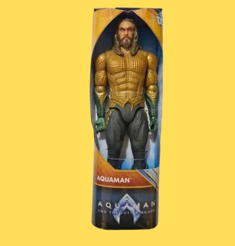 Aquaman Dc Spin Master