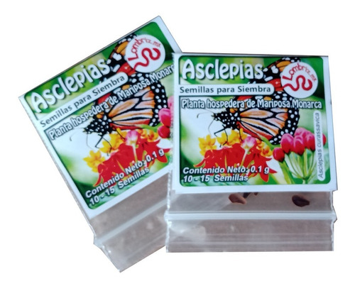 50 Semillas De Asclepia: Atrae Mariposa Monarca 