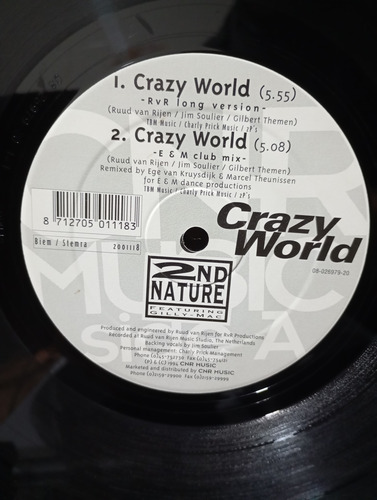 2nd Nature Featuring Gilly-mac - Crazy World Lp Vinil Single (Usado)