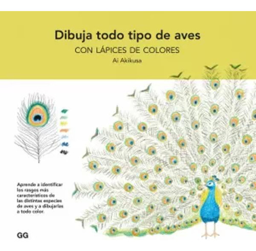 Dibuja Todo Tipo De Aves Con Lápices Colores - Akikusa  - *