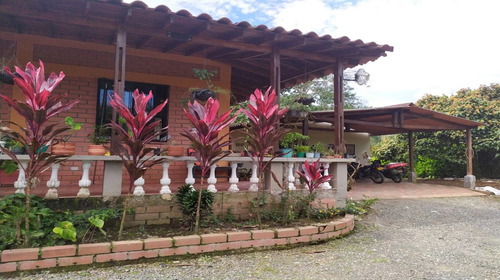 Imagen 15 de 24 de Finca De Alquiler Por Días Altagracia #4 Pereira