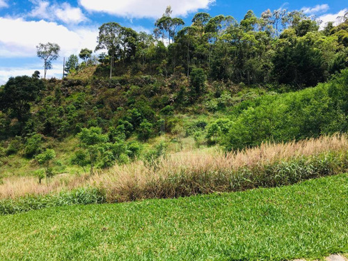 Imagem 5 de 9 de Terreno À Venda, 2474 M² Por R$ 180.000,00 - Vieira - Teresópolis/rj - Te0243