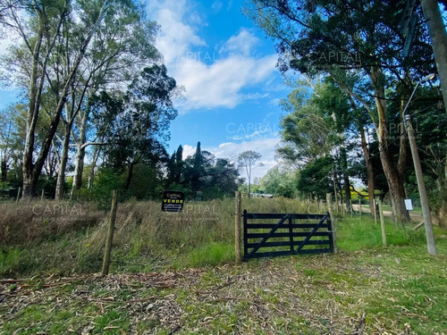 Lotes En Venta Sobre Camino Egusquiza