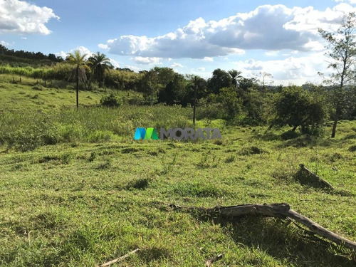 Imagem 6 de 15 de Fazenda - Zona Rural - Ref: 4343 - V-mta4343