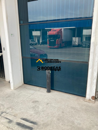 Arriendo Bodega De 390 M2 Carretera San Martin, Quilicura.