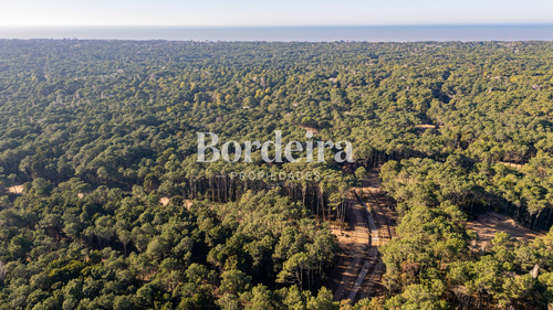 Venta Lote Barrio Los Enebros Carilo