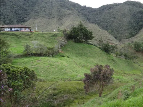 Finca En Venta La Unión Via Abejorral Antioquia. 83 Hectareas