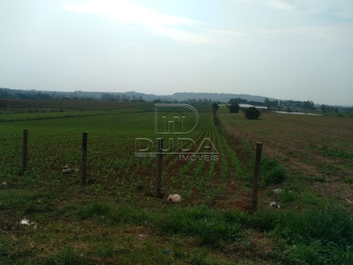 Imagem 10 de 15 de Terreno Comercial - Rio Dos Porcos - Ref: 32079 - V-32076