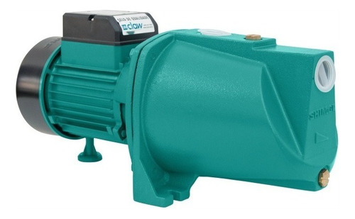 Bomba De Água Auto Aspirante 1cv 1 Pol. Shimge Sgjw75 Cor Azul Esverdeado Fase Elétrica Monofásica Frequência 60hz 220v