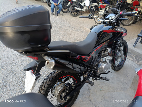 Shi 175 Preta